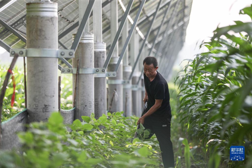 微信天河娱乐上分下分